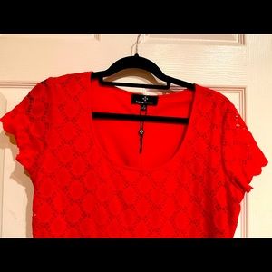 Valentine Red short sleeve shift dress